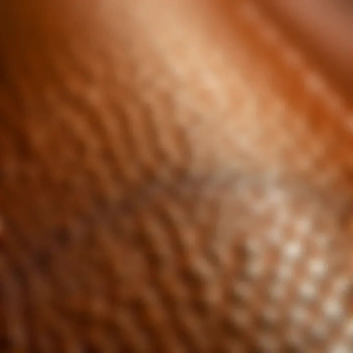 Close-up of natural leather material showing texture and grain