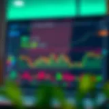 Illustration of a digital trading platform dashboard with charts and real-time data